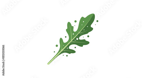 Minimalistic Illustration Of Arugula Leaf Isolated On Black Background Is Ready To Use