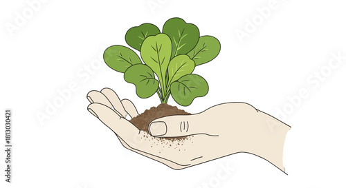 Nurturing Growth: A Hand Tenderly Holding A Young Plant With A Black Background