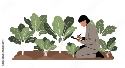 Observing The Growth Of Greens: A Gardener's Illustrated Notebook Entry