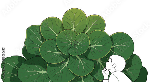 Observer Gazing At The Expanse Of Lush Greenery Against A Black Background