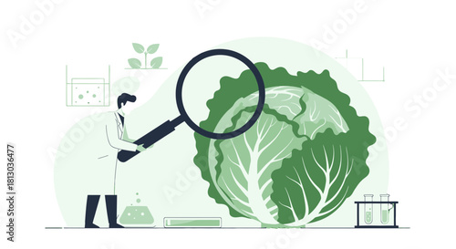 Scientific Examination of Cabbage: An Inquiry Into Botanical Research and Analysis