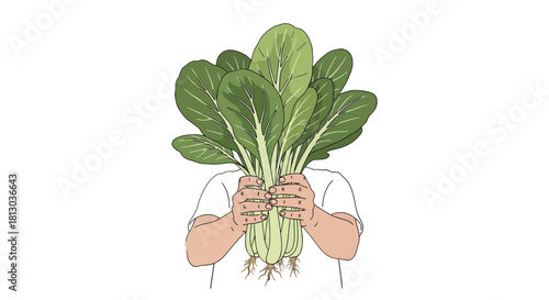 Person Holding Fresh Bunch Of Bok Choy Isolated On Black Background Art
