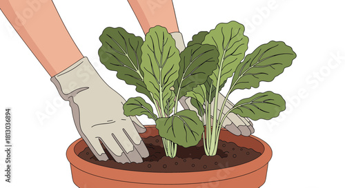 Planting Fresh Greens: A Visual Depiction Of Gardening And Nurturing Life