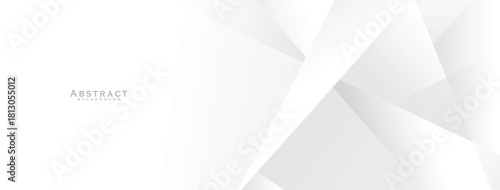 White Geometric Abstract Polygon Background with Clean Minimal Layered Shapes and Modern Vector Composition