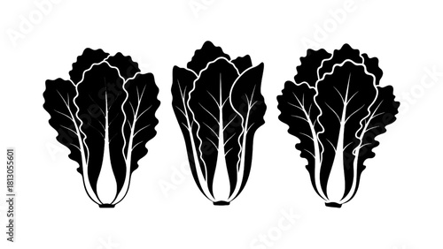 Vector illustration of three black and white silhouette icons of napa cabbage leaves isolated on transparent background 