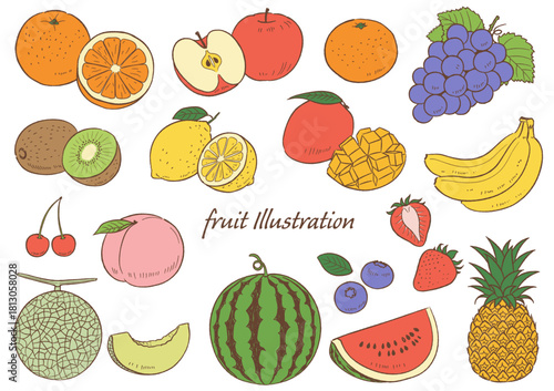手描きの果物のセット線画カラー_ベクターイラスト
