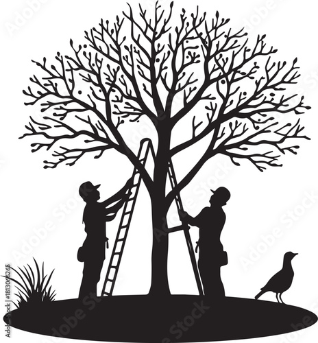 2 person pruning tree branches silhouette