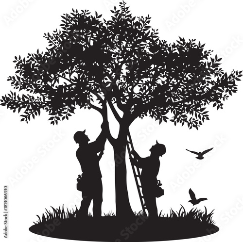 2 person pruning tree branches silhouette