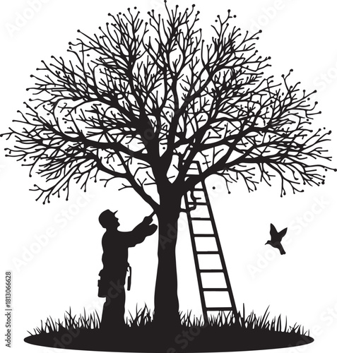 person pruning tree branches silhouette