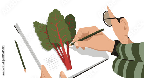 Vegetable Illustration: Artist Sketching Vibrant Chard on Paper For Artistic Endeavors