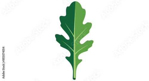Vibrant and Graphic Depiction of a Single Arugula Leaf on a Deep Black Background