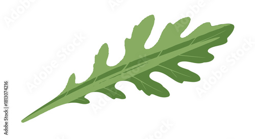 Vibrant Green Arugula Leaf Isolated Against a Dramatic Black Backdrop for Creative Concept