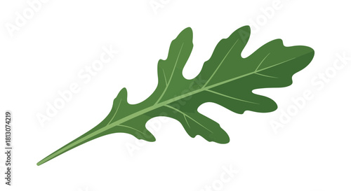 Vibrant Green Arugula Leaf Isolated Against a Dramatic Black Backdrop for Design