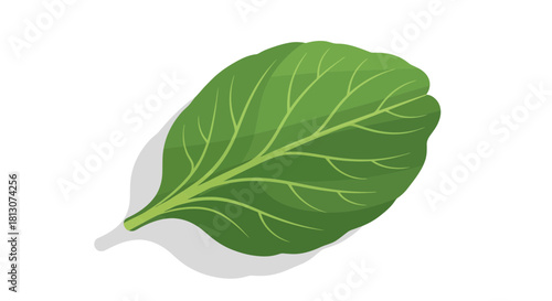 Vibrant Green Leaf Artwork Depicting Botanical Beauty Against a Dark Backdrop
