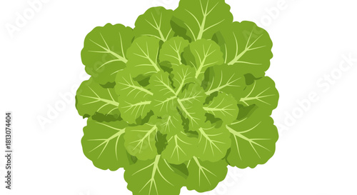 Vibrant Green Leafy Plant Against A Deep Black Background Perfectly Illustrated