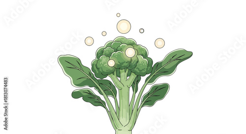 Vibrant Illustrated Broccoli Design With Floating Orbs Against A Dark Backdrop