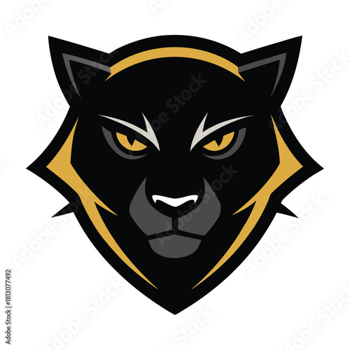 vector illustration of a cat