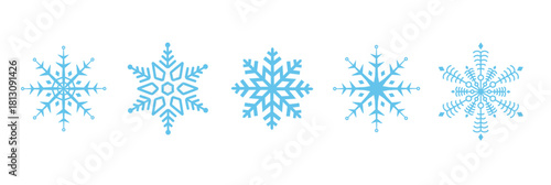 Set of snowflake vector