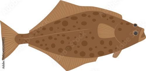 Canvas Print A vector art of a halibut fish.