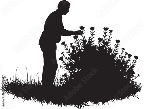 man picking flowers silhouette