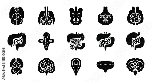 Black glyph icon set of human internal anatomy organs