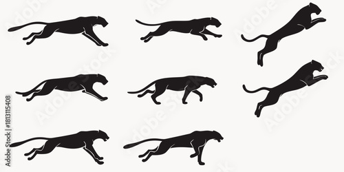vector of panther