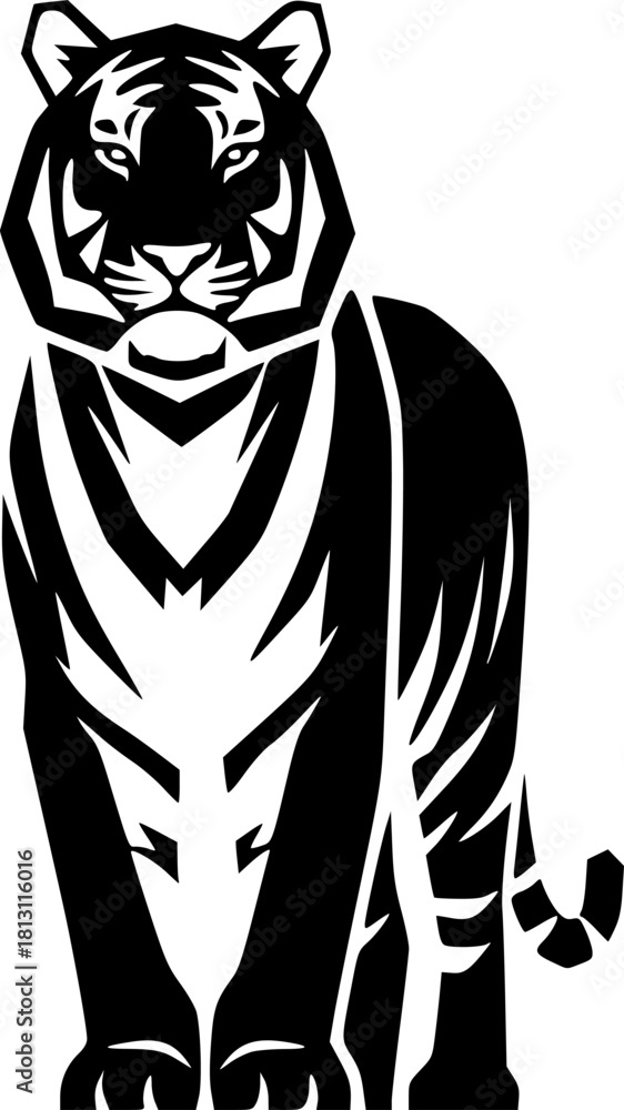 Obraz premium Realistic Amur tigers 🐯 in pose. The tiger stands, lies, walks, hunts. Animals of Asia. Panthera tigris. Big cats. Predatory mammals, an extinct animal vector on white background 