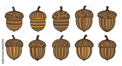 A charming set of ten unique acorn illustrations featuring detailed caps and a mix of horizontal and vertical striped patterns.
