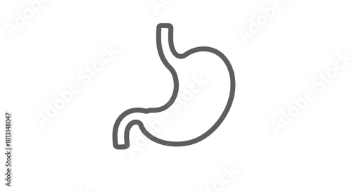 Outline of a human stomach icon representing digestion and internal anatomy