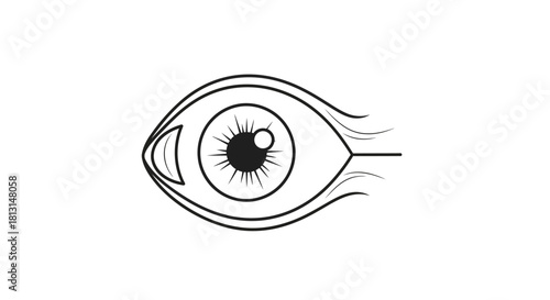 Simple black and white line art icon depicting a human eye, symbolizing vision, focus, optical science, and the intricate anatomy of sight