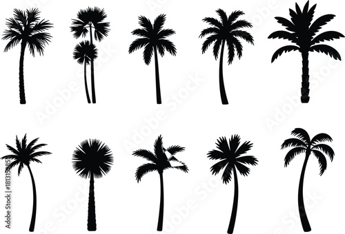 Collection of tropical palm tree silhouettes featuring diverse shapes, exotic island foliage, summer vacation nature elements, beach paradise botanical illustrations, isolated