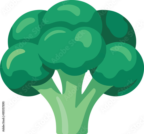 Broccoli vector icon illustration depicting a fresh green vegetable healthy food ingredient for cooking