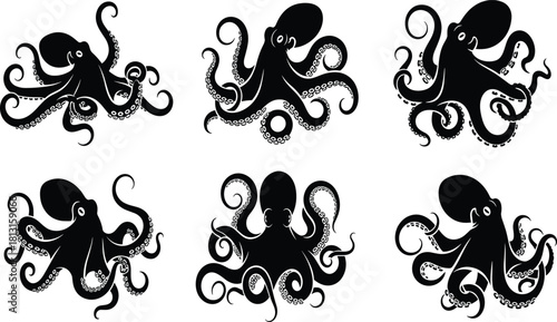 Black and white octopus illustration, marine animal drawing, underwater sea creature art, vintage tentacle design, aquatic wildlife vector, ocean graphic artwork