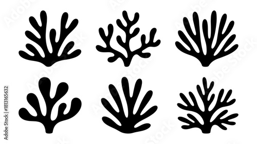 Collection of six black coral or seaweed silhouettes isolated on white background