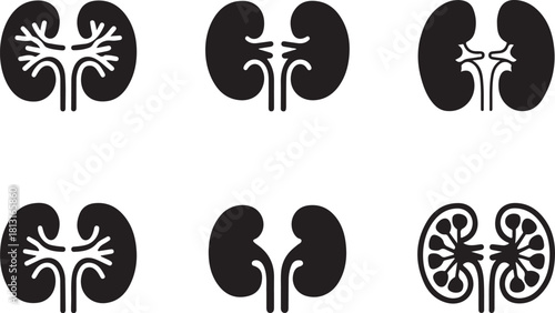 Kidney icon vector silhouette 