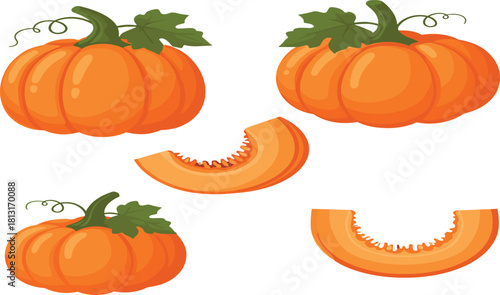 Pumpkin illustration, whole pumpkin vector art, sliced pumpkin design, autumn harvest graphic, healthy vegetable artwork, seasonal food concept, organic farming drawing
