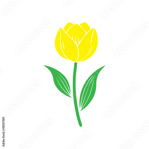 Yellow Tulip Flower Illustration