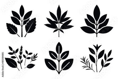 simple farm  herb leaves symbol silhouette icon set. Agriculture, farming silhouette icons