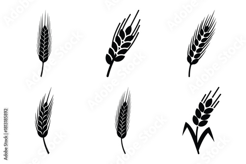simple farm  barley stalk symbol silhouette icon set. Agriculture, farming silhouette icons