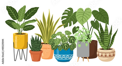 Collection of Vibrant Potted Houseplants in Stylish Planters Indoor Greenery Home Decor