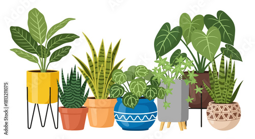 Collection of Beautiful Potted Houseplants in Decorative Planters Bringing Nature Indoors for Home and Office Decor