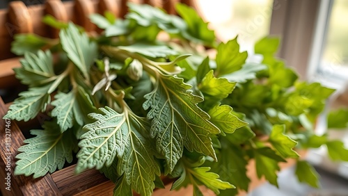 tolerable. Close-up of dried lovage leaves on a wooden rack with natural morning light. gardening catalogs, home-decor guides, designed for home decor and floral branding, used by sports marketers.