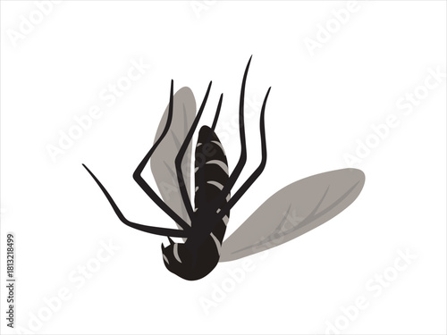 Mosquito Die or Dead Insect