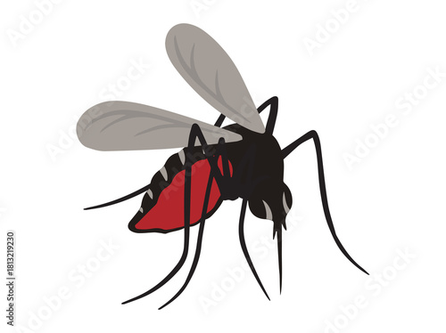 Mosquito Sucking Blood