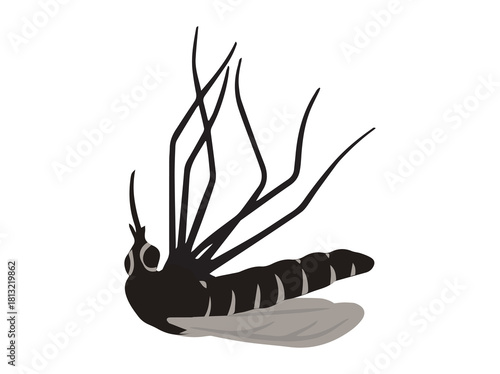 Mosquito Die or Dead Insect