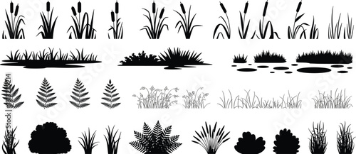 Comprehensive vector silhouette set of wetland, aquatic plants, cattails, reeds, ferns, and grass isolated icons for nature landscape design.