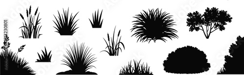 Grass and bush vector silhouette collection featuring plants, reeds, shrubs, and trees, isolated black nature elements for landscape design.