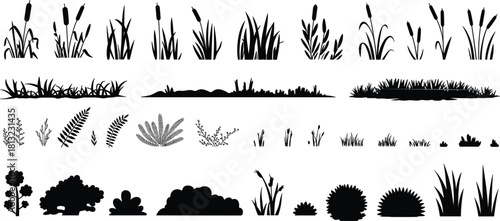Large vector silhouette collection of natural plants, grass, reeds, cattails, ferns, and bushes isolated on white background for landscape design.