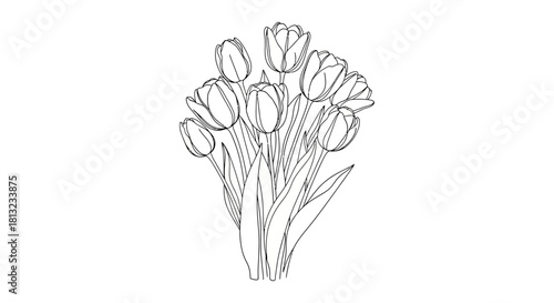 line art drawing of a fresh tulip bouquet on a white background perfect for spring designs floral decoration and a relaxing coloring page.