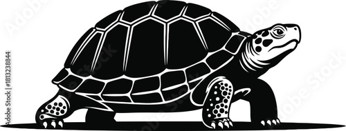 A black and white illustration of a turtle isolated on white background.